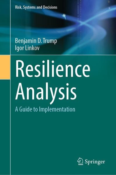 Produktbild: Resilience Analysis
