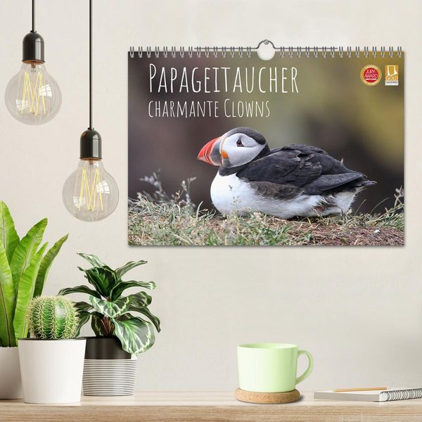 Produktbild: Papageitaucher - charmante Clowns (Wandkalender 2027 DIN A4 quer), CALVENDO Monatskalender
