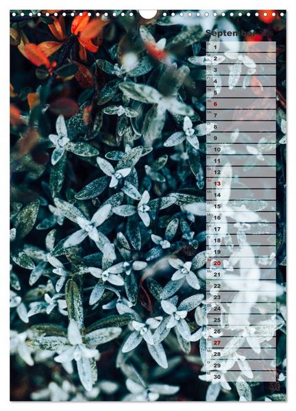 Produktbild: Kalender - Natur im Detail (Wandkalender 2026 DIN A3 hoch), CALVENDO Monatskalender