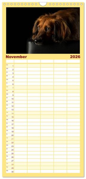 Produktbild: Familienplaner 2026 - Bunte Pfoten mit 5 Spalten (Wandkalender, 21 x 45 cm) CALVENDO