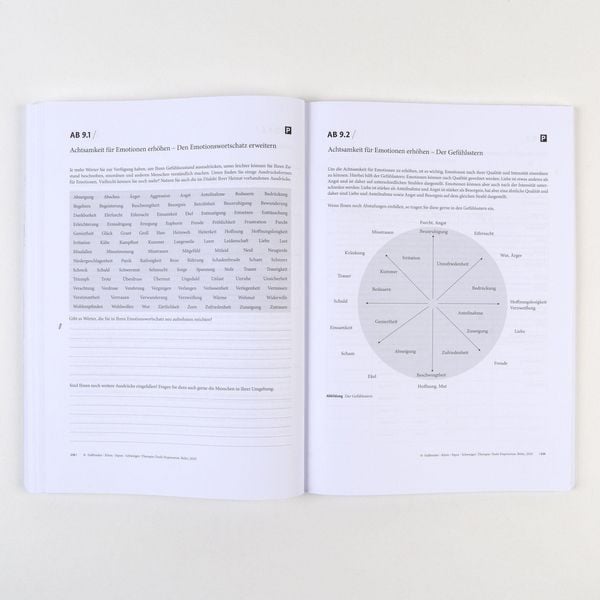 Produktbild: Therapie-Tools Depression