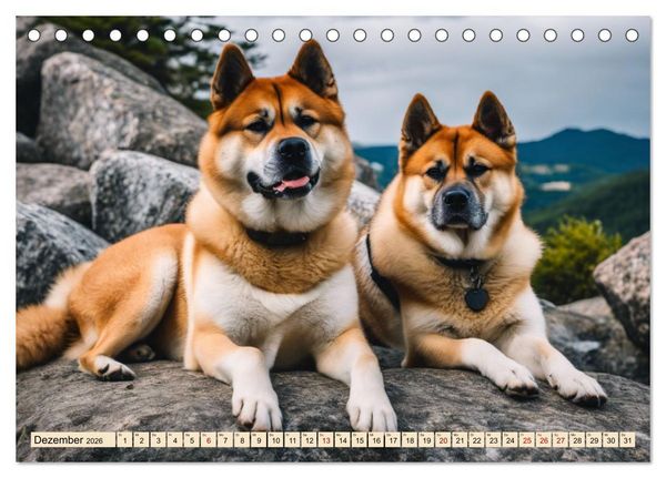 Produktbild: Akita Inu - Inbegriff der Treue (Tischkalender 2026 DIN A5 quer), CALVENDO Monatskalender