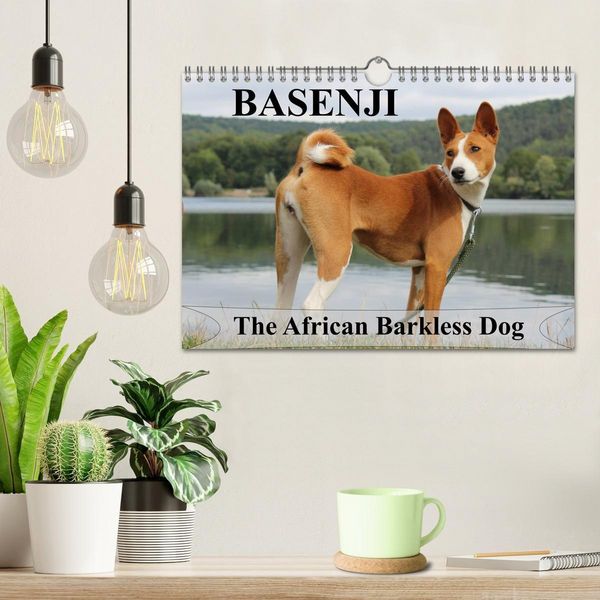 Produktbild: Basenji the African Barkless Dog (Wall Calendar 2027 DIN A4 landscape), CALVENDO 12 Month Wall Calendar