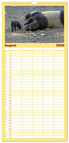 Produktbild: Familienplaner 2026 - Der Schweinekalender mit 5 Spalten (Wandkalender, 21 x 45 cm) CALVENDO