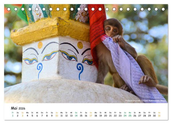 Produktbild: Bezauberndes Asien 2026 (Tischkalender 2026 DIN A5 quer), CALVENDO Monatskalender