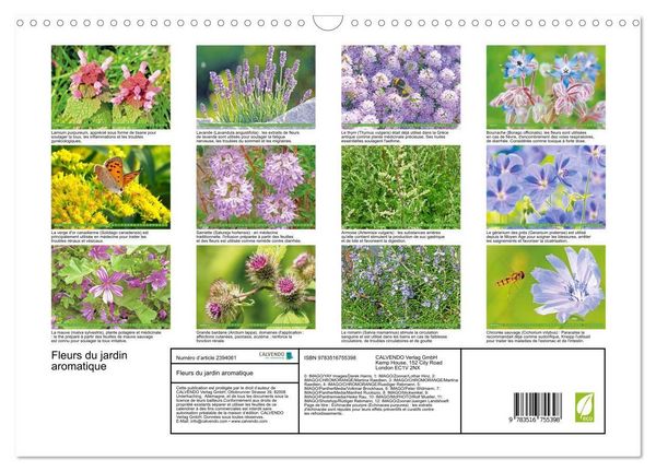 Produktbild: Fleurs du jardin aromatique (Calendrier mural 2027 DIN A3 vertical), CALVENDO calendrier mensuel