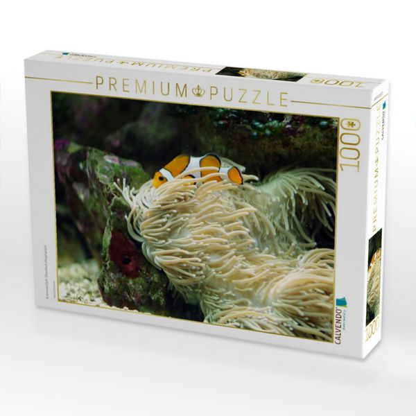 Produktbild: CALVENDO Puzzle Anemonenfisch, Clownfisch (Amphiprion) | 1000 Teile Lege-Gr&ouml;&szlig;e 64x48cm Foto-Puzzle f&uuml;r gl&uuml;ckliche Stunden
