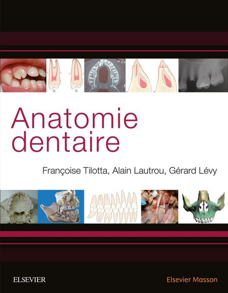 Produktbild: Anatomie dentaire