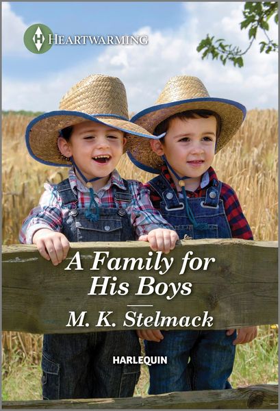Produktbild: A Family for His Boys