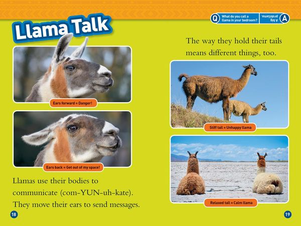 Produktbild: Llamas (National Geographic Kids Readers, Level 1)