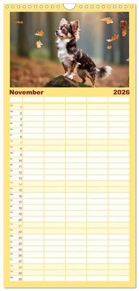 Produktbild: Familienplaner 2026 - Chihuahuas - Kleine Hunde - gro&szlig;e Temperamentb&uuml;ndel mit 5 Spalten (Wandkalender, 21 x 45 cm) CALVENDO