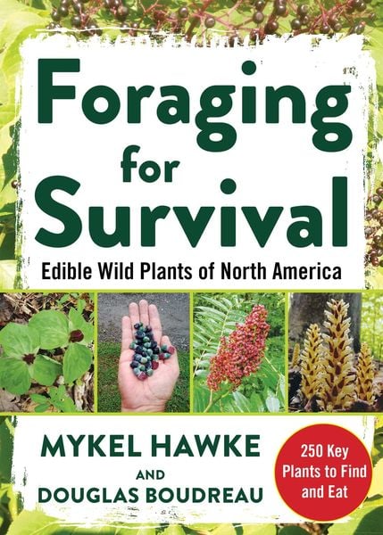Produktbild: Foraging for Survival