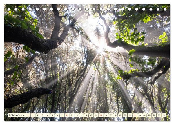 Produktbild: Teneriffa Entspannung Pur (Tischkalender 2026 DIN A5 quer), CALVENDO Monatskalender