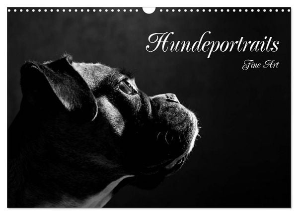 Produktbild: Hundeportraits Fine Art (Wandkalender 2026 DIN A3 quer), CALVENDO Monatskalender