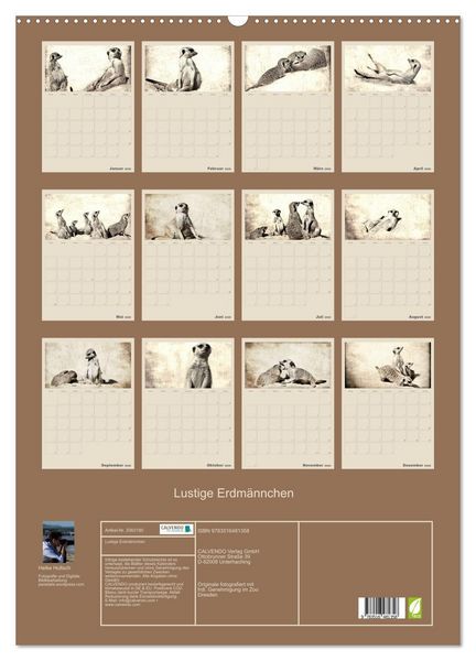 Produktbild: Lustige Erdm&auml;nnchen (Wandkalender 2026 DIN A2 hoch), CALVENDO Monatskalender