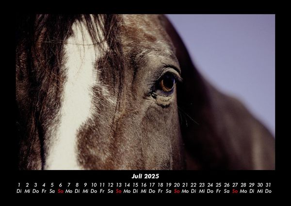 Produktbild: Die Welt der Pferde 2025 Fotokalender DIN A3