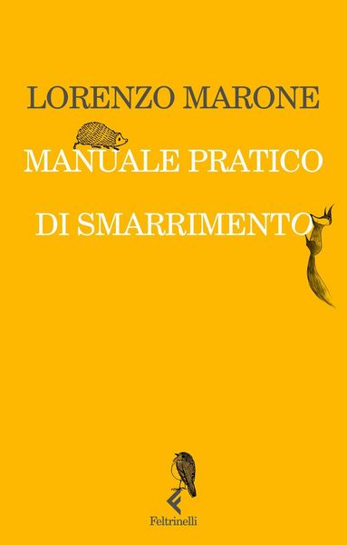 Produktbild: Manuale pratico di smarrimento