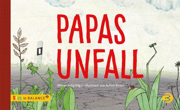 Produktbild: Papas Unfall