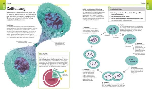 Produktbild: Visuelles Wissen. Biologie