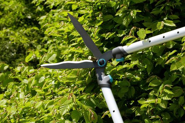 Produktbild: GARDENA Hand Heckenschere
