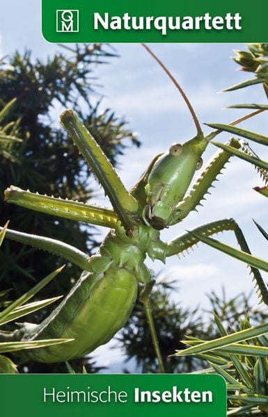Produktbild: Heimische Insekten