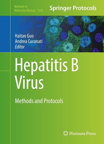 Produktbild: Hepatitis B Virus