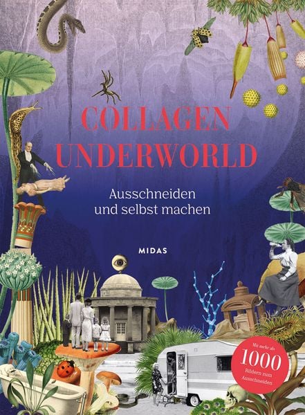 Collagen Underworld, Taschenbuch von Eliza Scott, Midas Collection, 9783038762614