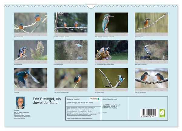 Produktbild: Der Eisvogel, ein Juwel der Natur (Wandkalender 2026 DIN A3 quer), CALVENDO Monatskalender
