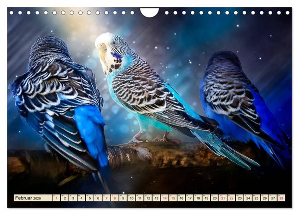 Produktbild: Wundersch&ouml;ner Wellensittich (Wandkalender 2026 DIN A4 quer), CALVENDO Monatskalender