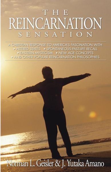 Produktbild: The Reincarnation Sensation