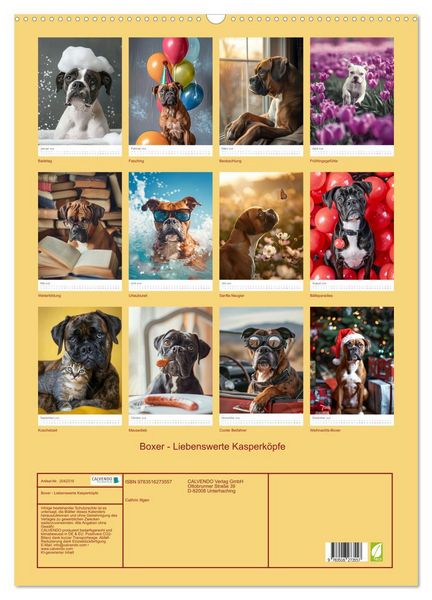 Produktbild: Boxer - Liebenswerte Kasperk&ouml;pfe (Wandkalender 2026 DIN A2 hoch), CALVENDO Monatskalender