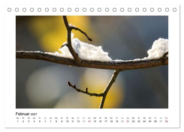 Produktbild: Naturkunstwerke (Tischkalender 2027 DIN A5 quer), CALVENDO Monatskalender