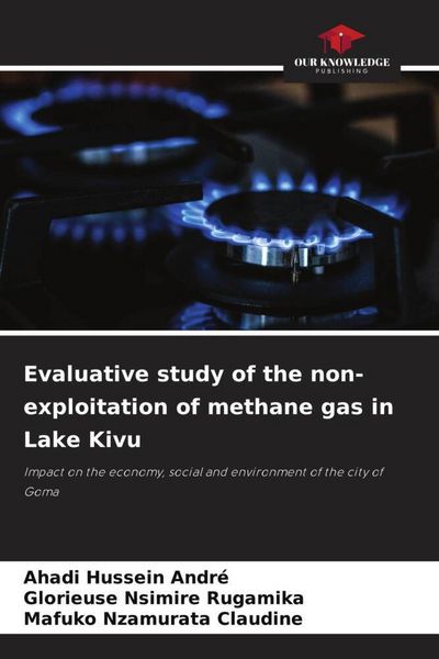 Produktbild: Evaluative study of the non-exploitation of methane gas in Lake Kivu