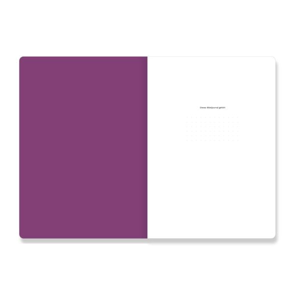 Produktbild: Offenbarung (Bibeljournal)