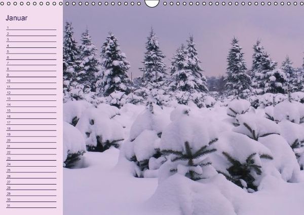 Produktbild: Geburtstagskalender (Wandkalender immerw&auml;hrend DIN A3 quer)