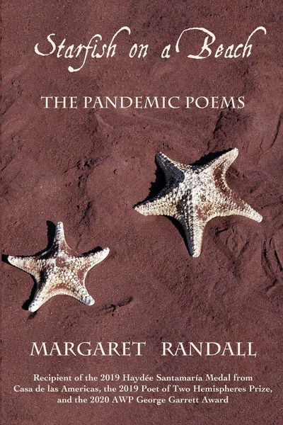 Produktbild: Starfish on a Beach