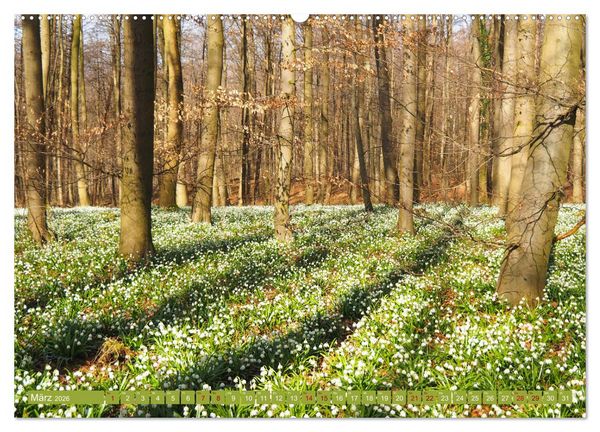 Produktbild: Niedersachsen - Malerische Landschaften (Wandkalender 2026 DIN A2 quer), CALVENDO Monatskalender
