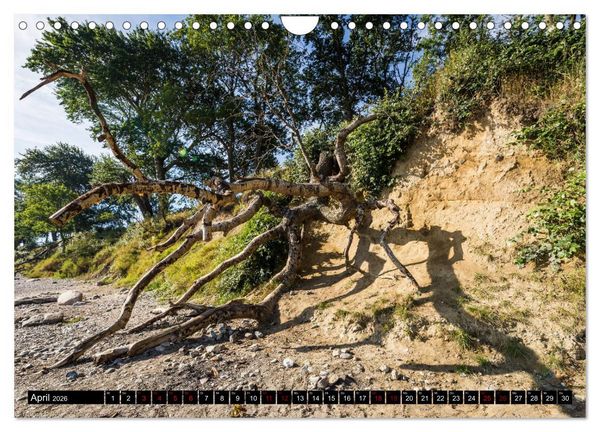 Produktbild: Insel Fehmarn - Impressionen eines Sommertages an der Ostsee (Wandkalender 2026 DIN A4 quer), CALVENDO Monatskalender