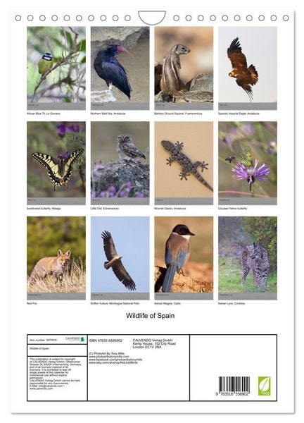 Produktbild: Wildlife of Spain (Wall Calendar 2026 DIN A4 portrait), CALVENDO 12 Month Wall Calendar