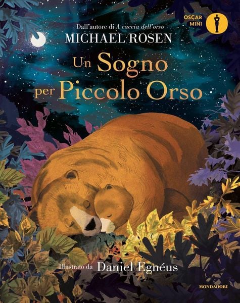 Produktbild: Un sogno per Piccolo Orso