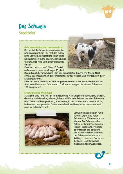Produktbild: Muss ein Pony eigentlich zum Friseur?