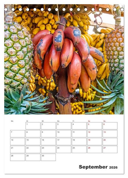 Produktbild: Sansibar - K&uuml;stenstadt mit Charme (Tischkalender 2026 DIN A5 hoch), CALVENDO Monatskalender