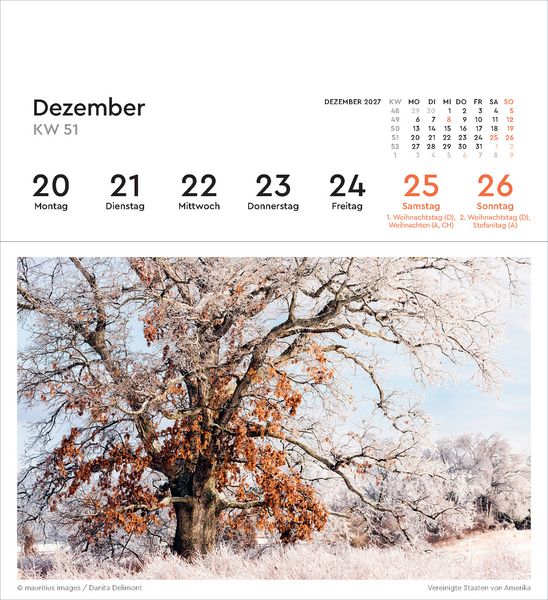 Produktbild: Alte B&auml;ume - KUNTH Postkartenkalender 2027