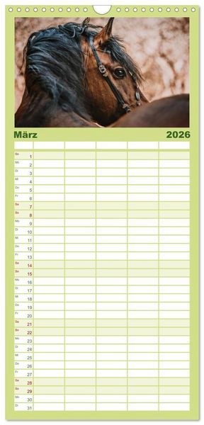 Produktbild: Familienplaner 2026 - Die Faszinierende Welt der Pferde mit 5 Spalten (Wandkalender, 21 x 45 cm) CALVENDO