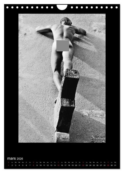 Produktbild: Au Masculin (Calendrier mural 2026 DIN A4 horizontal), CALVENDO calendrier mensuel