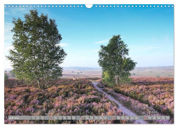 Produktbild: L&uuml;neburger Heide - Faszinierend sch&ouml;n (Wandkalender 2026 DIN A3 quer), CALVENDO Monatskalender