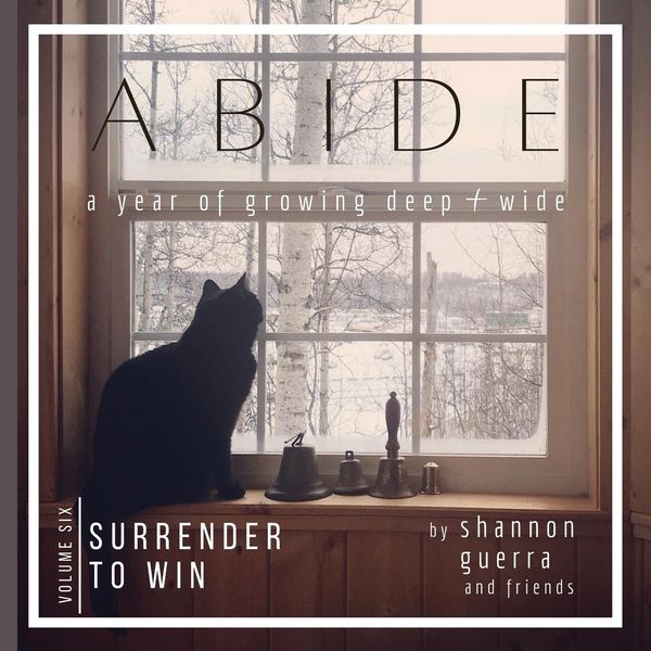 Produktbild: Surrender to Win