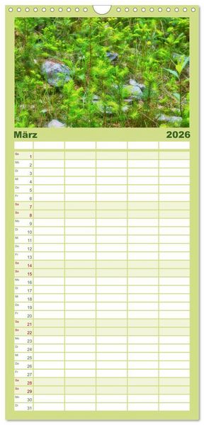 Produktbild: Familienplaner 2026 - Vielfalt am Waldboden mit 5 Spalten (Wandkalender, 21 x 45 cm) CALVENDO