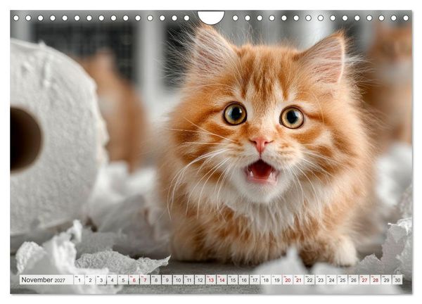 Produktbild: Katzen - Jeder Moment ein Abenteuer (Wandkalender 2027 DIN A4 quer), CALVENDO Monatskalender