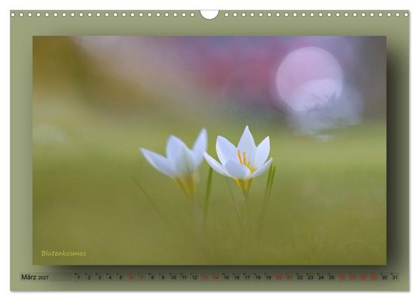 Produktbild: Foto-Art-Natur (Wandkalender 2027 DIN A3 quer), CALVENDO Monatskalender